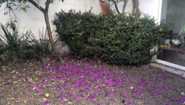 CASA REMODELADA CON BUENOS ESPACIOS EN ECHEGARAY